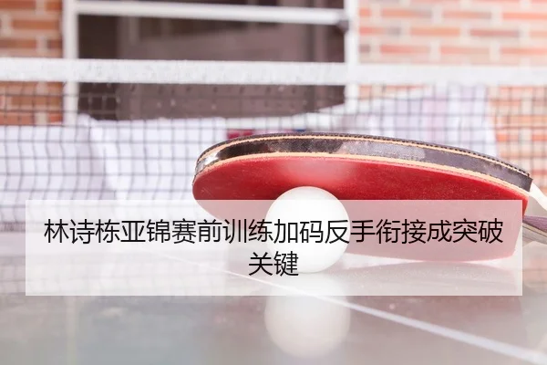 林诗栋亚锦赛前训练加码反手衔接成突破关键